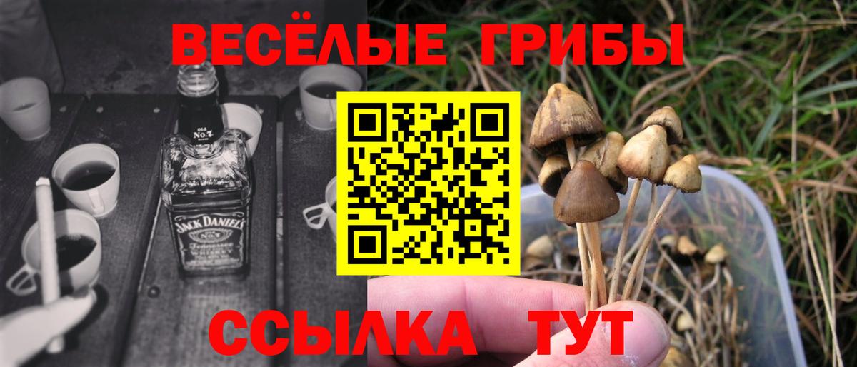 Набережные Челны  Псилоцибиновые грибы мухоморы  Вход с VPN 
